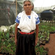 Tenango _de_Flores_huauchinango_08